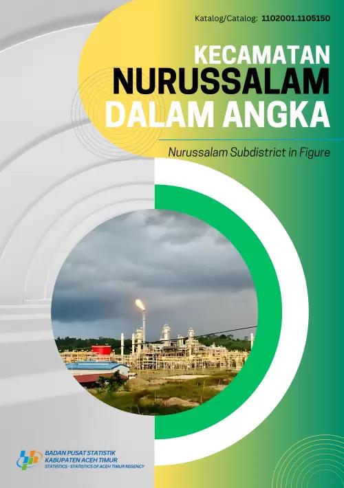 Nurussalam District in Figures 2024